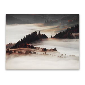 Obraz na plátne Styler Mist, 85 x 113 cm