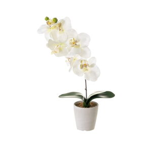 Umelý kvet Orchid – Casa Selección