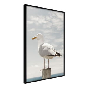 Plagát v ráme Artgeist Curious Seagull, 20 x 30 cm
