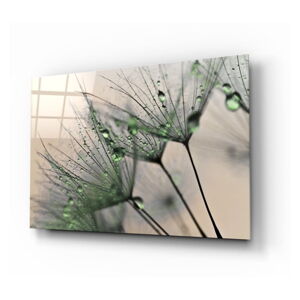 Sklenený obraz Insigne Green Dandelion, 72 x 46 cm