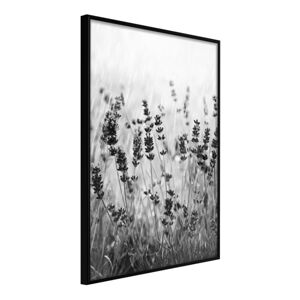 Plagát v ráme Artgeist Shadow of Meadow, 30 x 45 cm