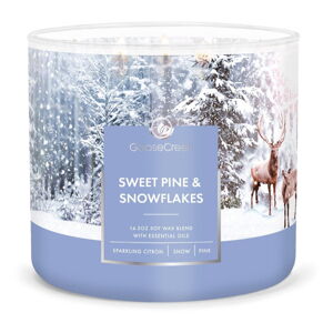 Goose Creek Sweet Pine & Snowflakes vonná sviečka, 35 h horenia
