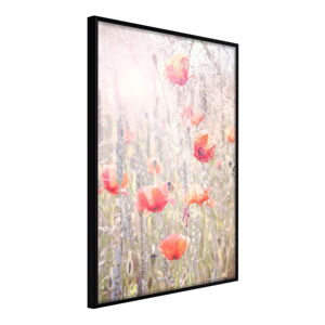 Plagát v ráme Artgeist Poppies, 20 x 30 cm