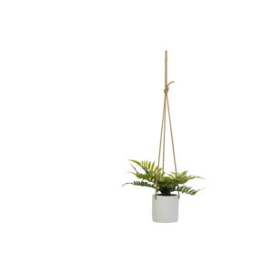 Umelá rastlina (výška  24 cm) – Casa Selección