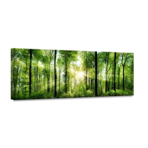 Obraz Styler Glasspik Nature Sunlight, 50 × 125 cm