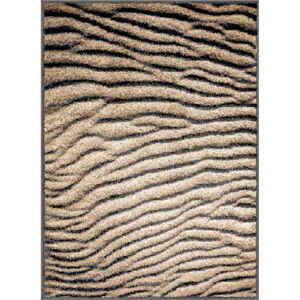 Hnedý koberec 160x220 cm Avanti – FD