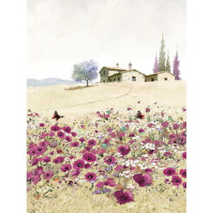 Obraz na plátne Styler Violet Poppies, 50 x 70 cm